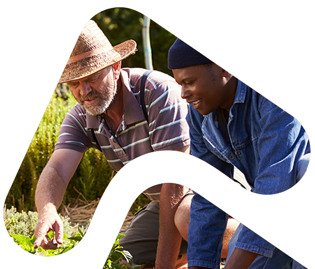 Volunteer planting crops with a farmer